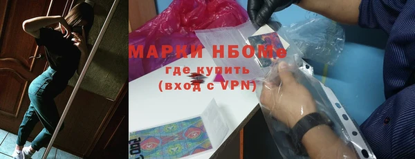 индика Дмитров