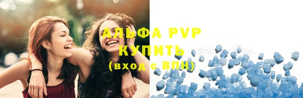 индика Дмитров