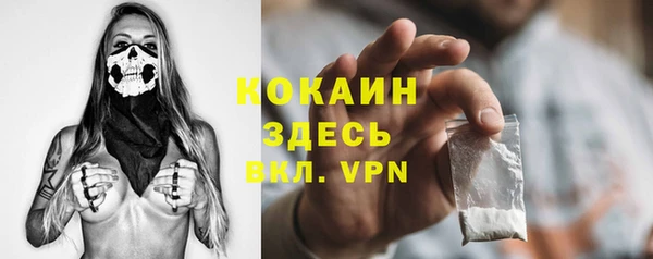 шишки Гусев