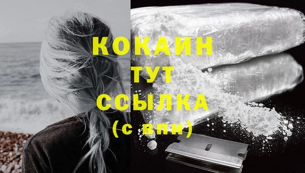 индика Дмитров