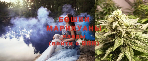 марки lsd Гусь-Хрустальный