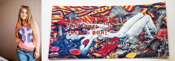 шишки Гусев