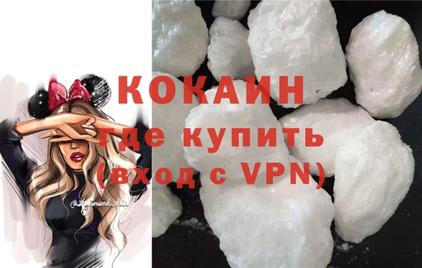 индика Дмитров