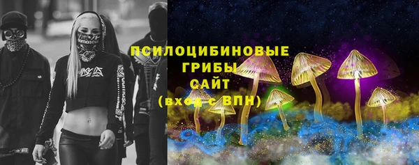 марки lsd Гусь-Хрустальный