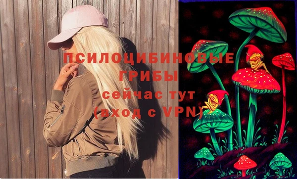 марки lsd Гусь-Хрустальный