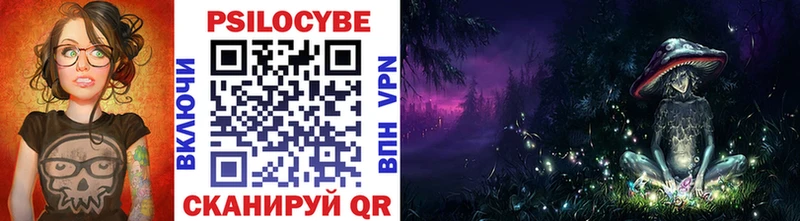 Купить закладки  Тайшет  Псилоцибиновые грибы Cubensis 