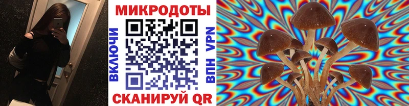Галлюциногенные грибы MAGIC MUSHROOMS Тайшет